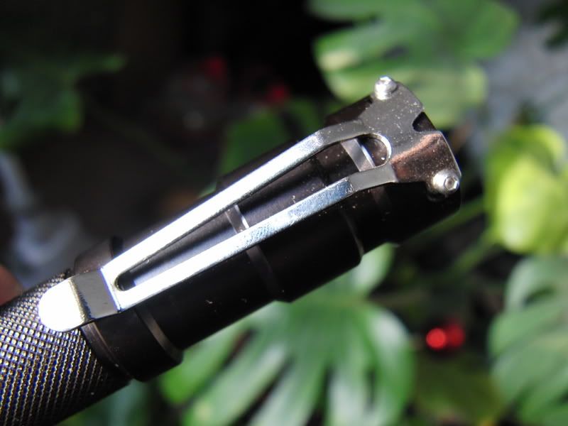 Nitecore5.jpg