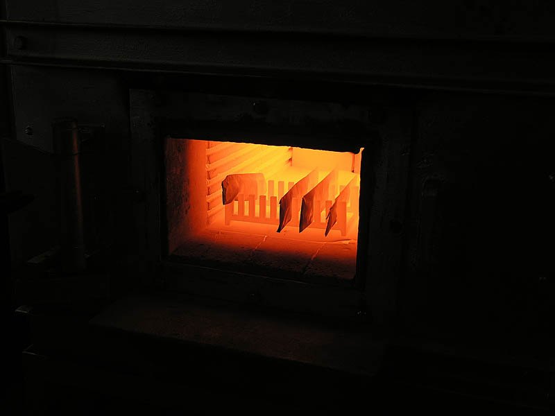 P4197177s.jpg