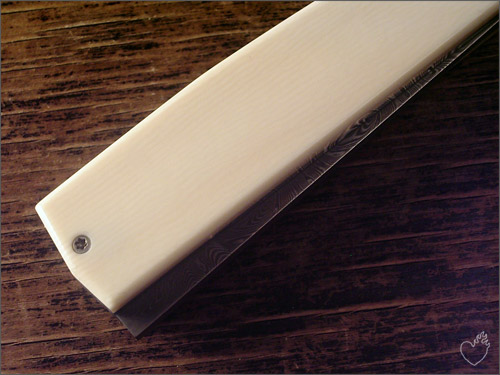dammann_009.jpg