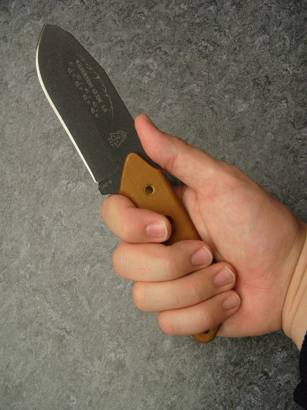 comp_S1055255.jpg
