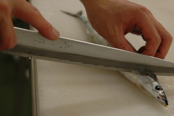 yanagiknife.jpg