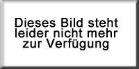 alle.jpg
