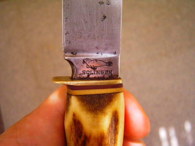 PICT0445.jpg