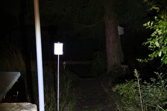 No_Name-09_550_x_550_.jpg