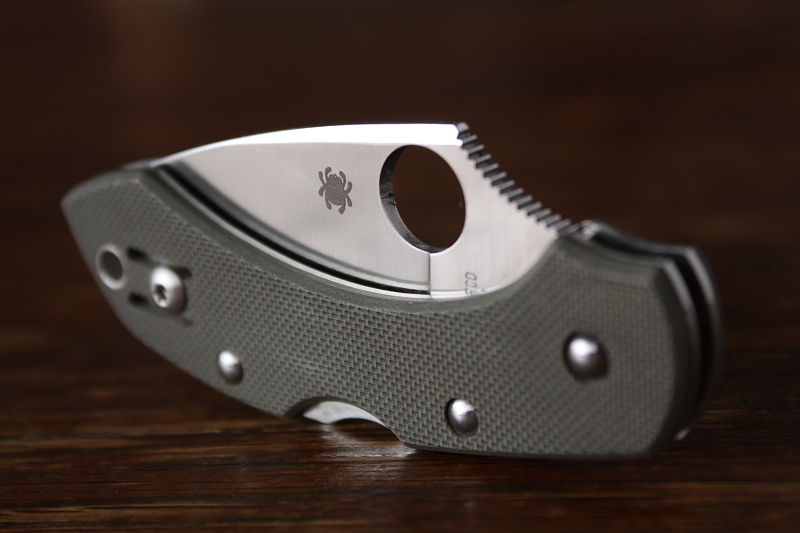 Spyderco_drangonfly_006.JPG