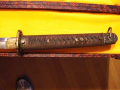 3442011132_88676ae175_m.jpg
