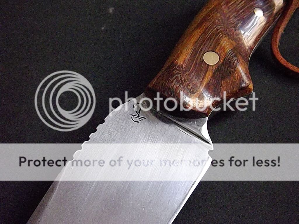 DSCF2153_zpsk7x2fmoe.jpg