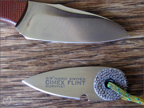 cimex_09.jpg