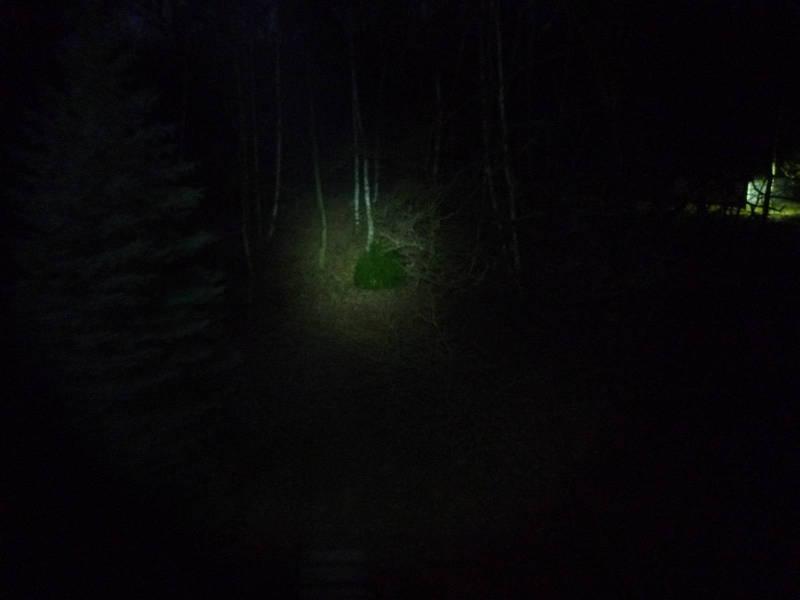 p1020453.jpg