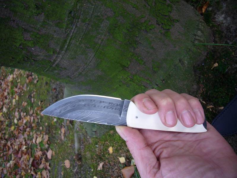 bahnenbein031.JPG