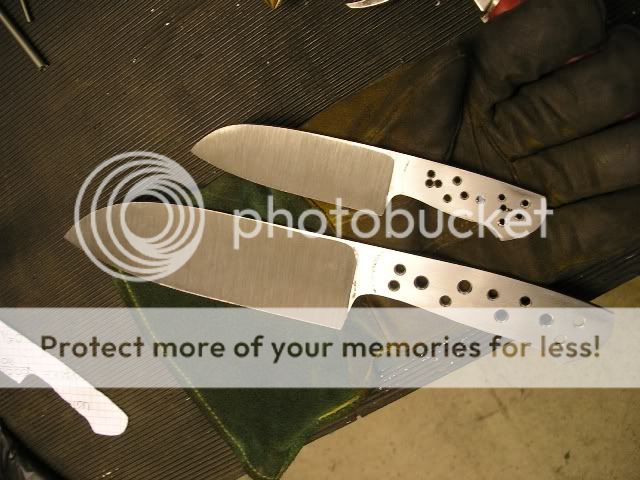 IMGP5230.jpg