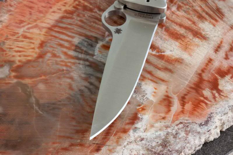 SpydercoVallotton10_zps16829505.jpg