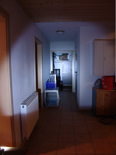 3160634871_c9fd710547.jpg