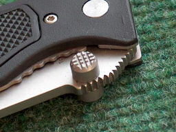 timber_05_sm.jpg