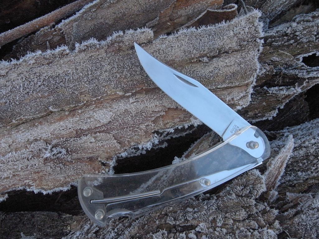 Buck110Plexi_zpsf9c2fe91.jpg