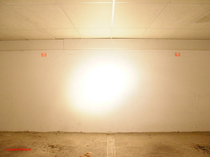 213_p2024.jpg