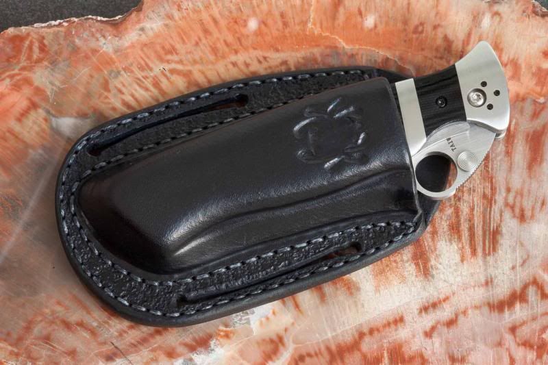 SpydercoVallotton06_zps6523a4e2.jpg