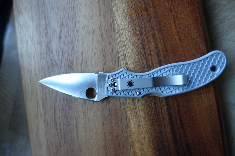 44502492pg.jpg