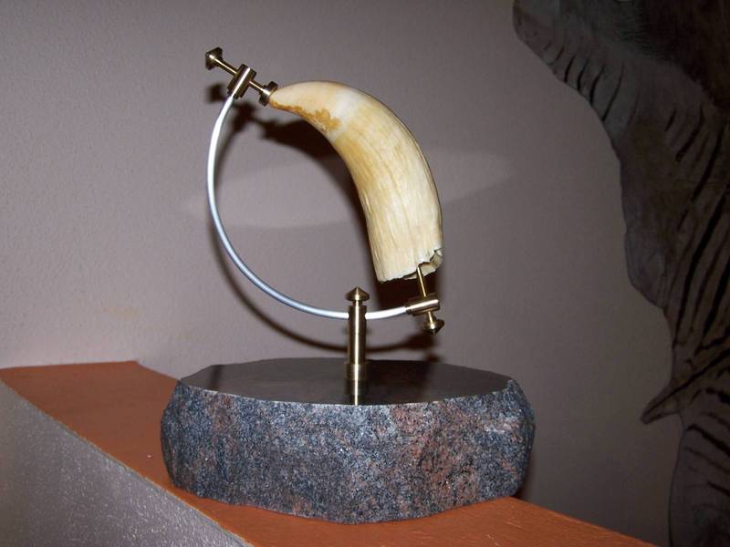 100_5096.JPG