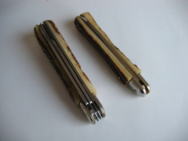img1481og0.jpg