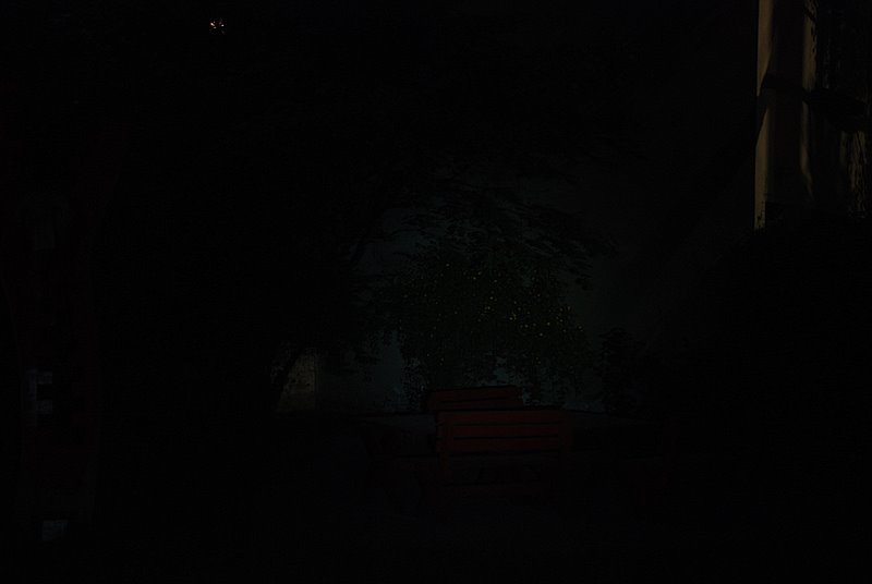 DSC_0603_S3low.JPG