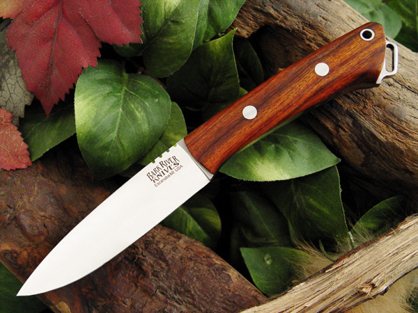 ns_cocobolo_2_jenni.jpg