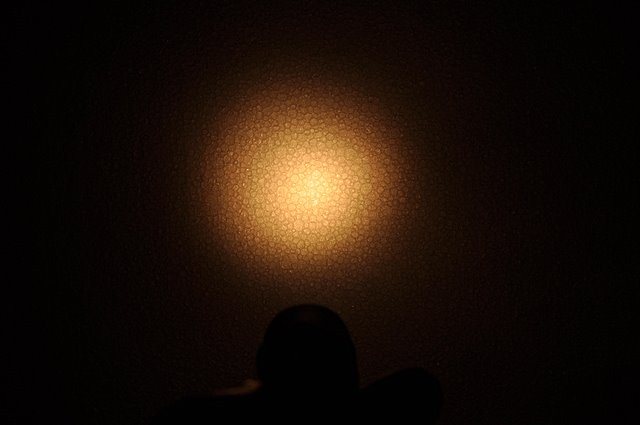 DSC_2272_E2E_Xenon.JPG