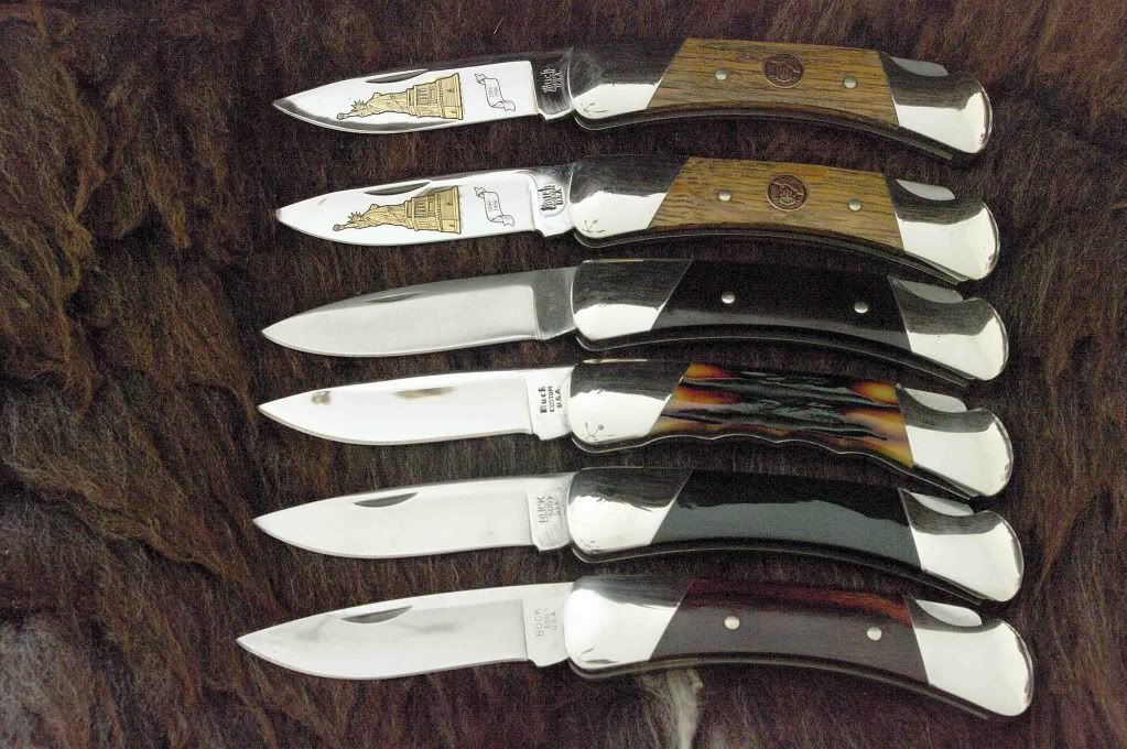 Buck500sechs.jpg