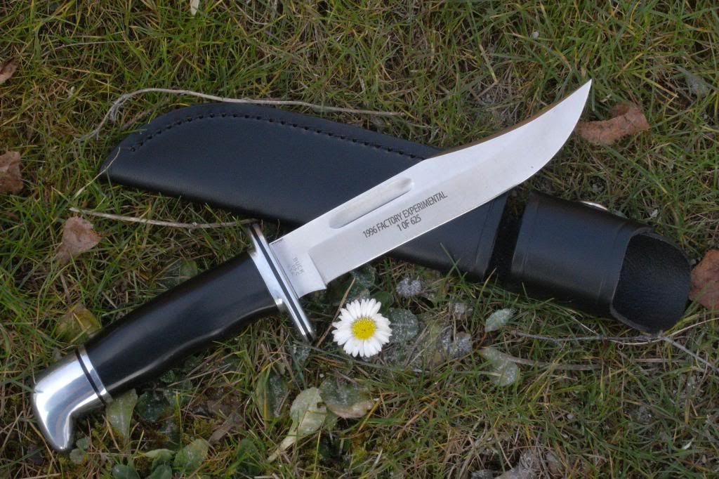 Buck119Experimental_zpsb0895b3e.jpg