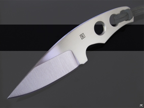 MThorn371.jpg