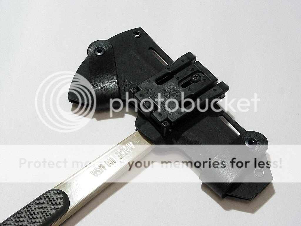 hawk02.jpg