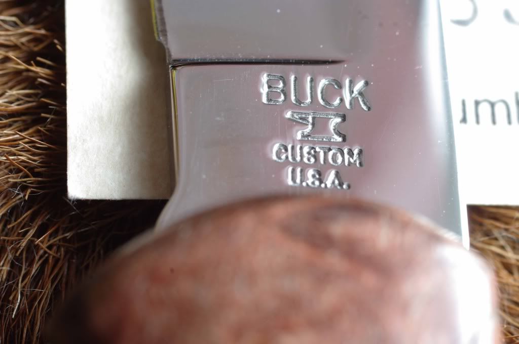 Buck532Ricasso.jpg