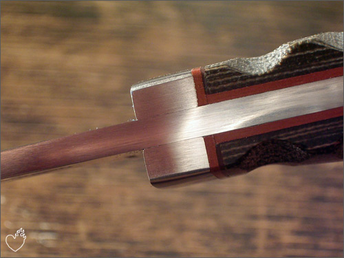 boker_savannah_02.jpg