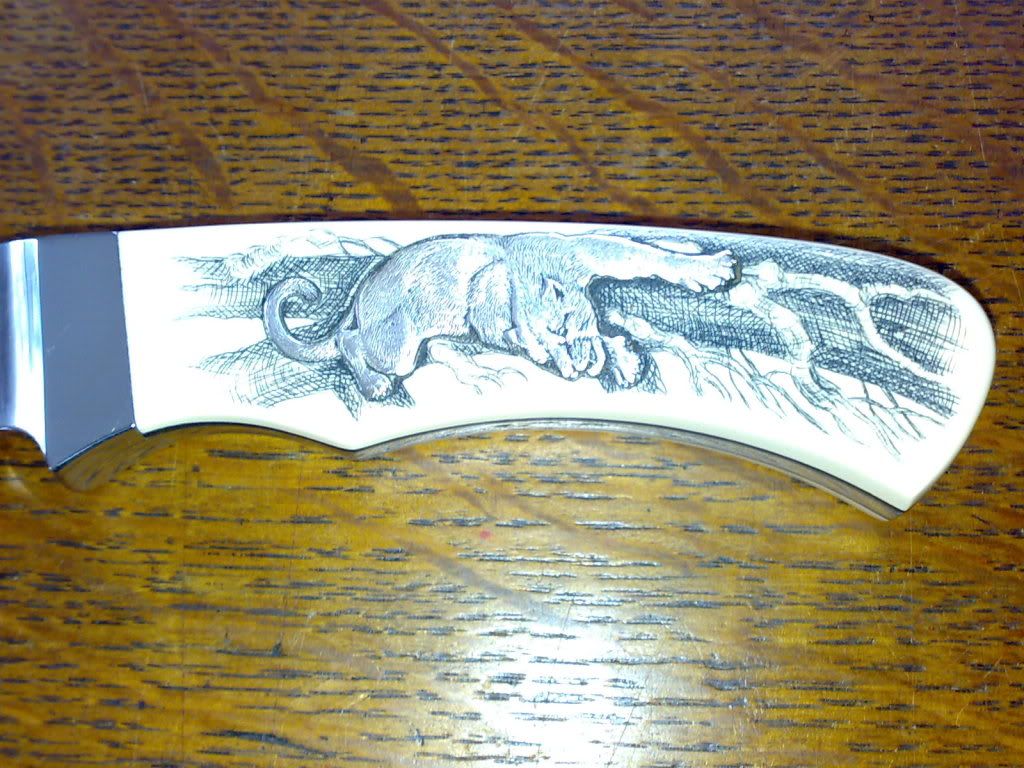11072009315.jpg