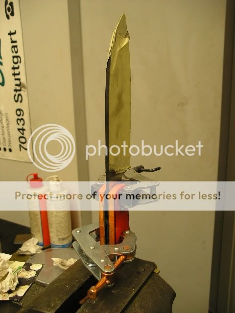 IMGP5330.jpg