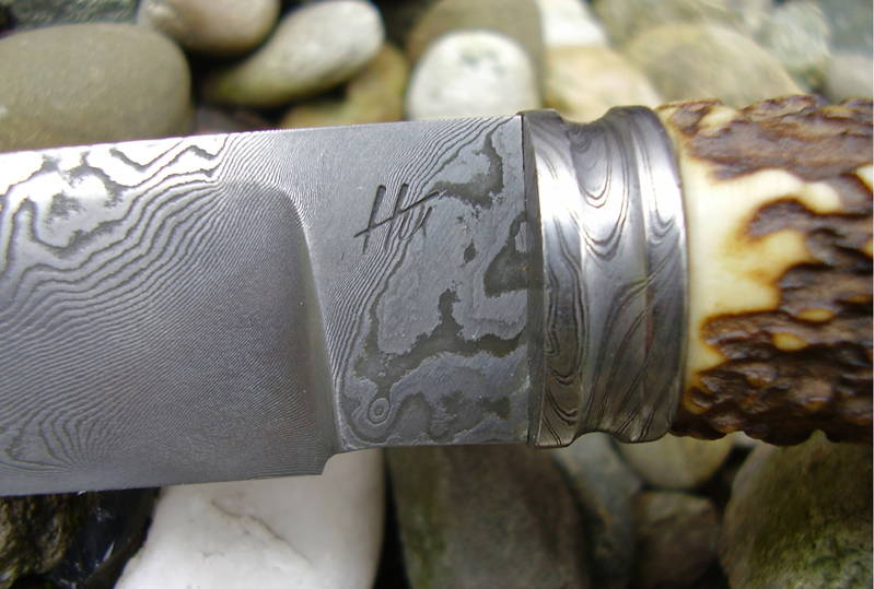 Hirsch_mit_Torsion_025.jpg