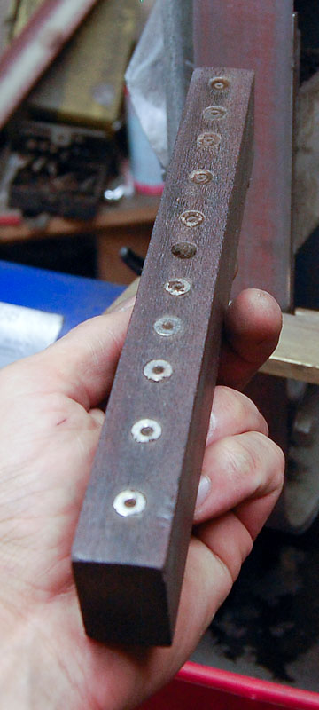 halter.jpg