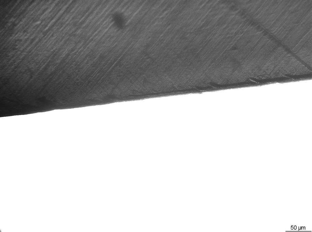 42216227ly.jpg