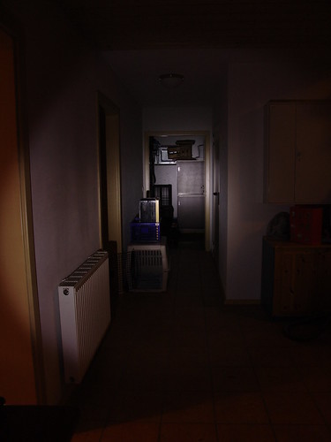 3161478622_56c8a33479.jpg