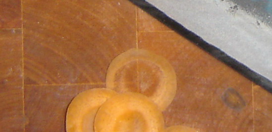 Mikrotomschnitt.jpg
