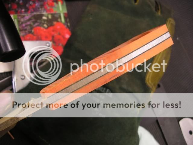 IMGP5338.jpg