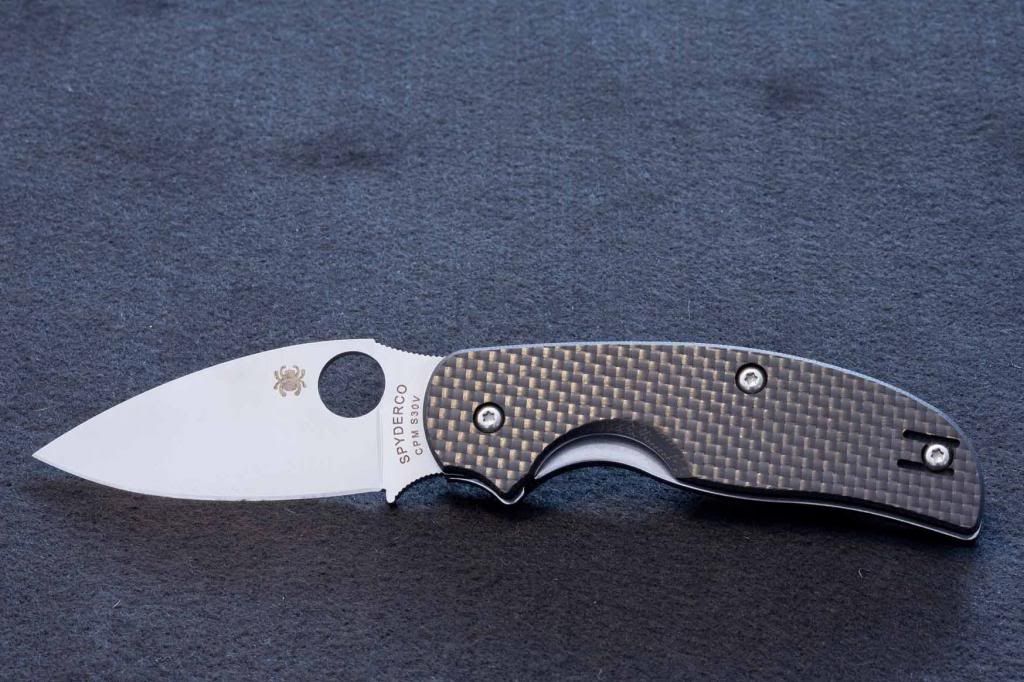 SpydercoSageBild11_zps8dc42d33.jpg