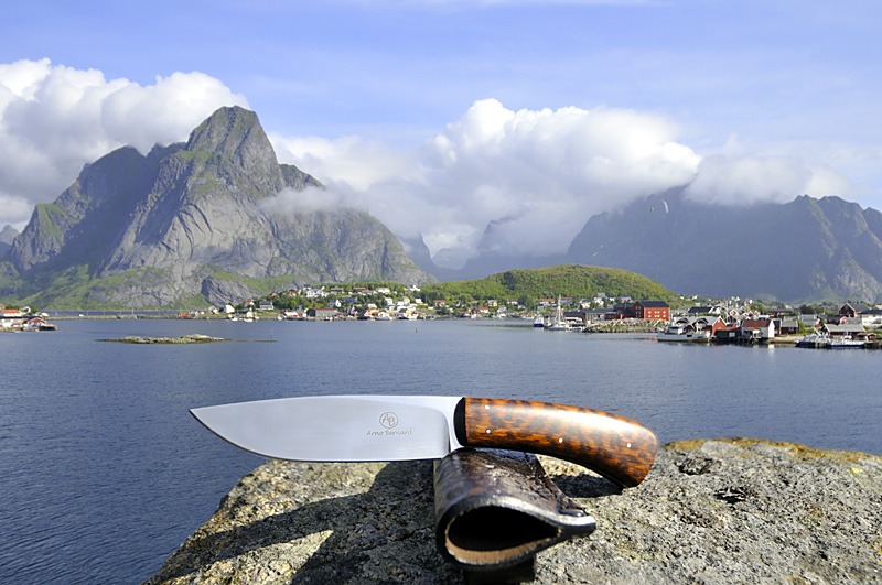 reine-bernard-5309fert.jpg