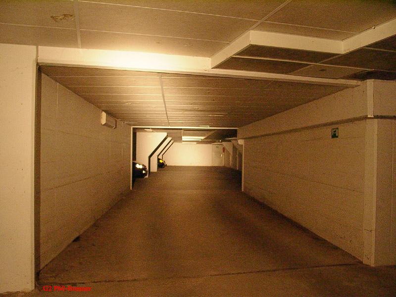 213_p2005.jpg