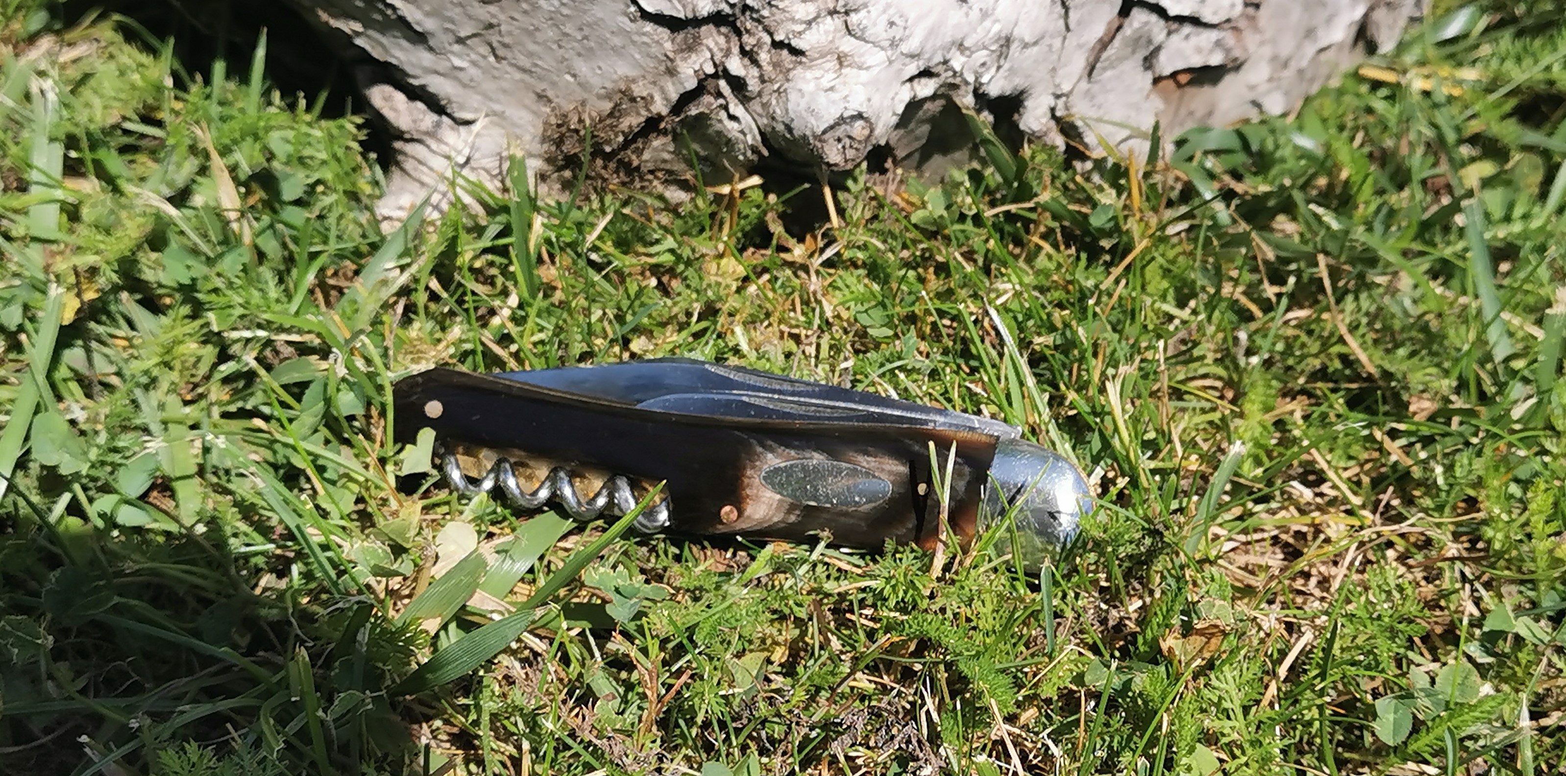 brckmanncarbon-003nfjku.jpg