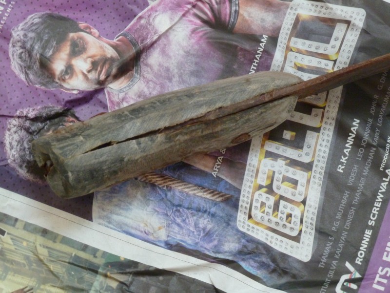 mf_india_bowie04.jpg
