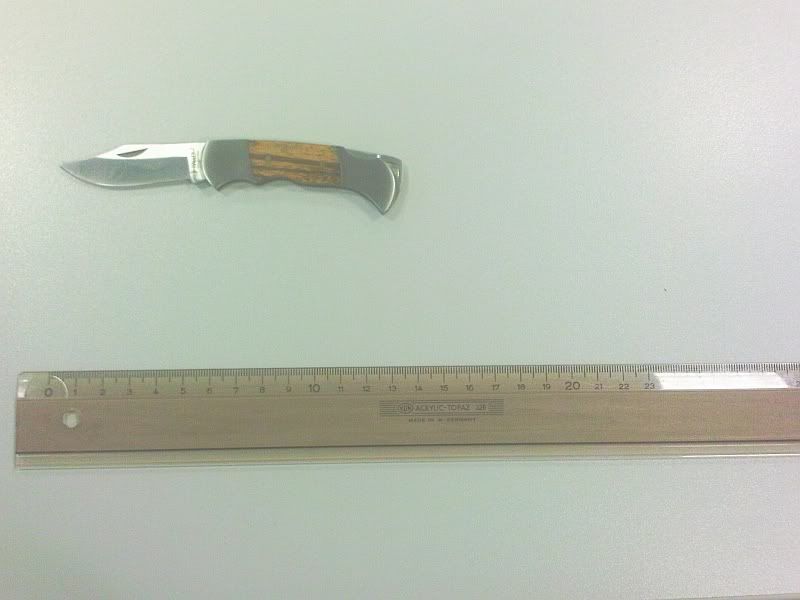 Haller_83360.jpg