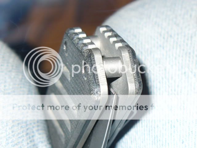 StriderARclip-1.jpg