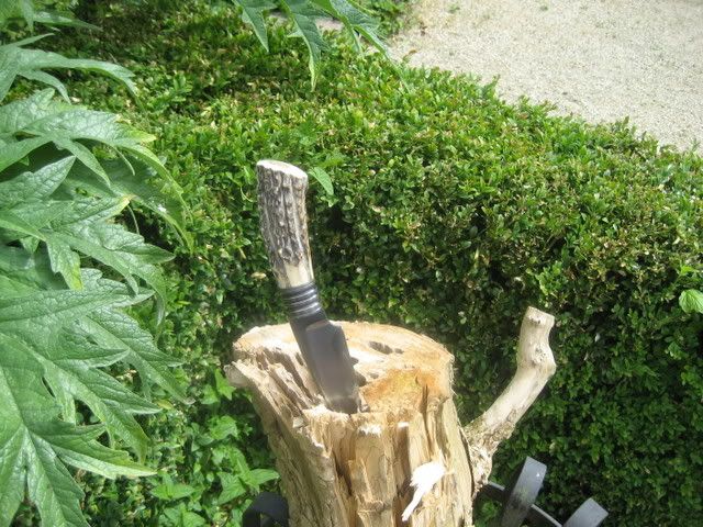 Photo1008.jpg