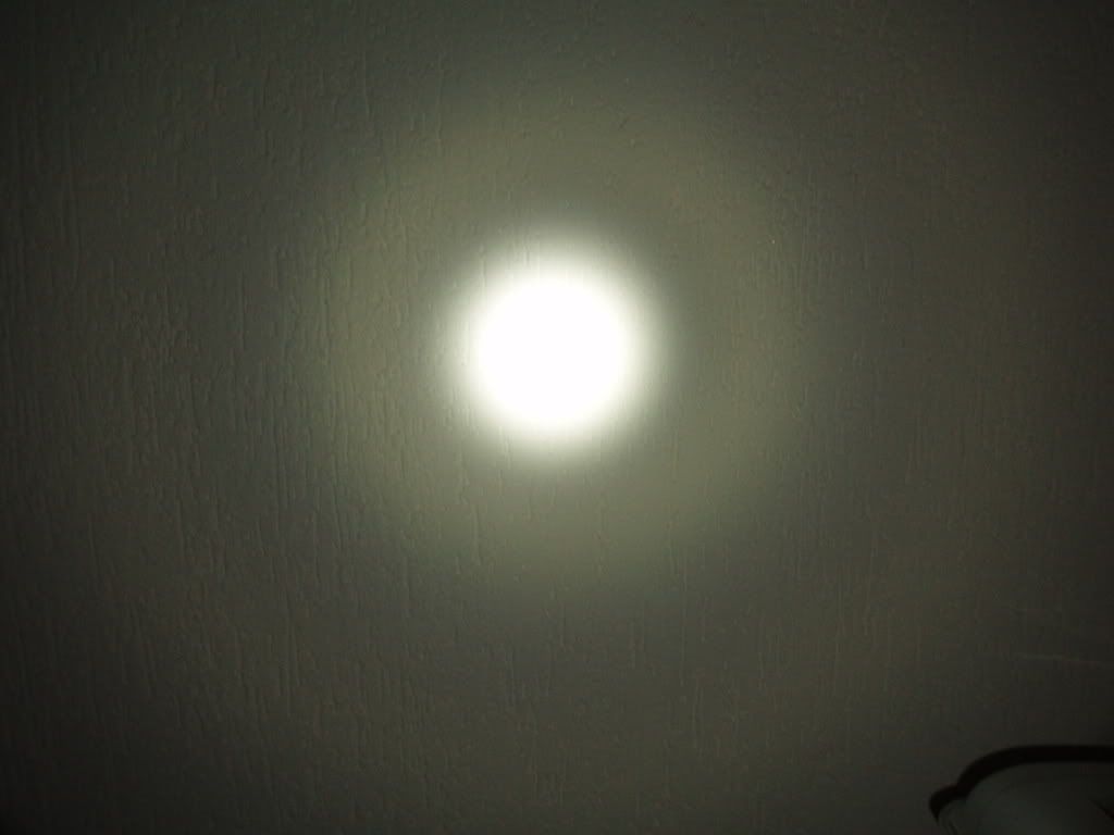 P8090074.jpg